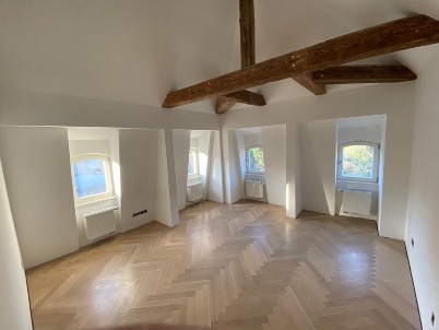 Dachgeschoss -Ausbau Dachstuhl